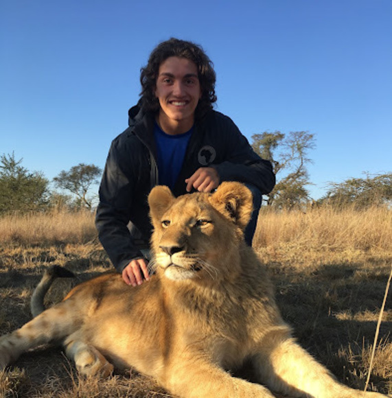 Meet your Posher, Bailey - Picture 1 of 1